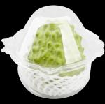 Customized disposable transparent single grid Shakya fruit blister clamshell