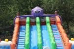 Octopus Commercial Inflatable Water Park Customized Size Acceptable