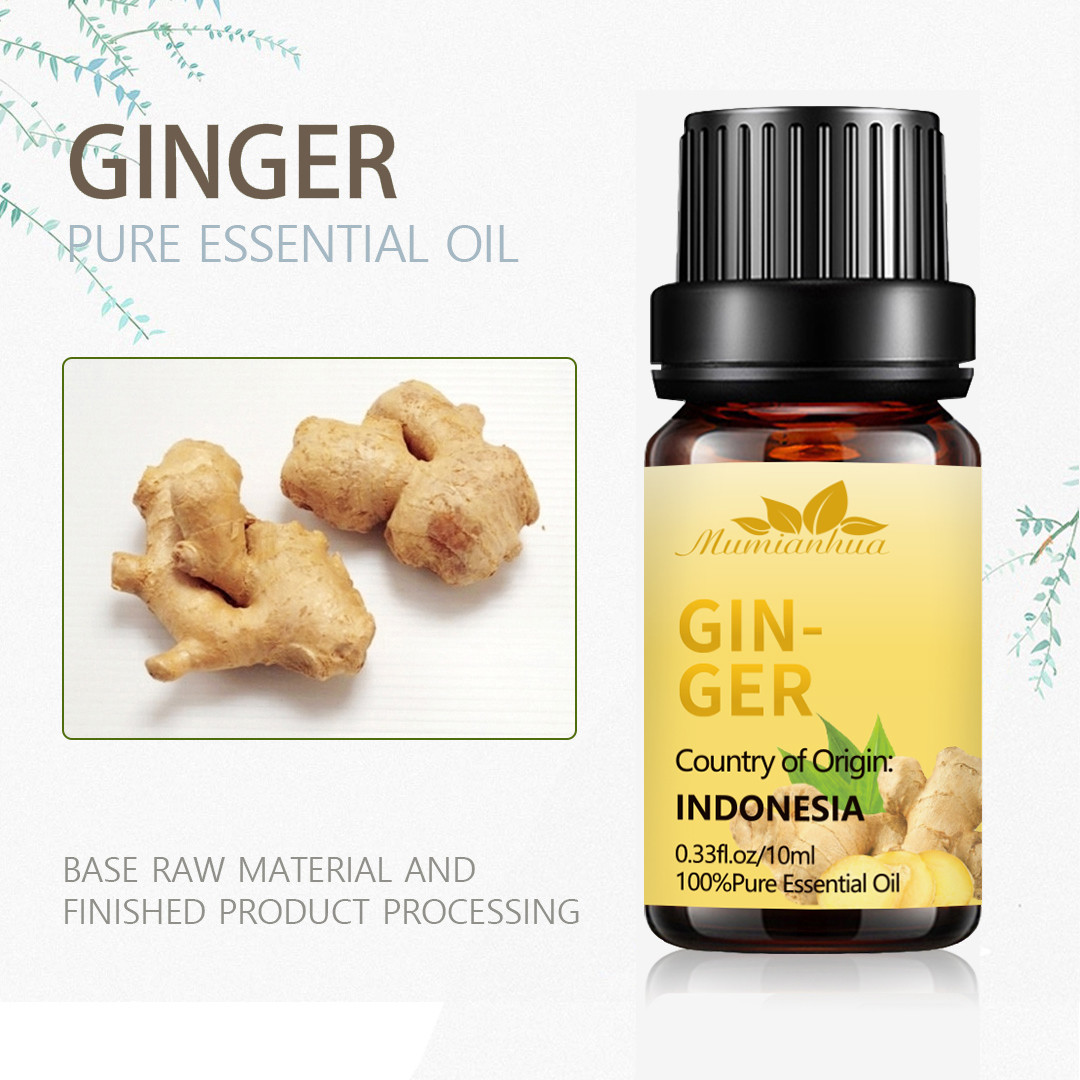 5ml Herbal Essential Oils MSDS Ginger Essential Oil Hair Growth OEM