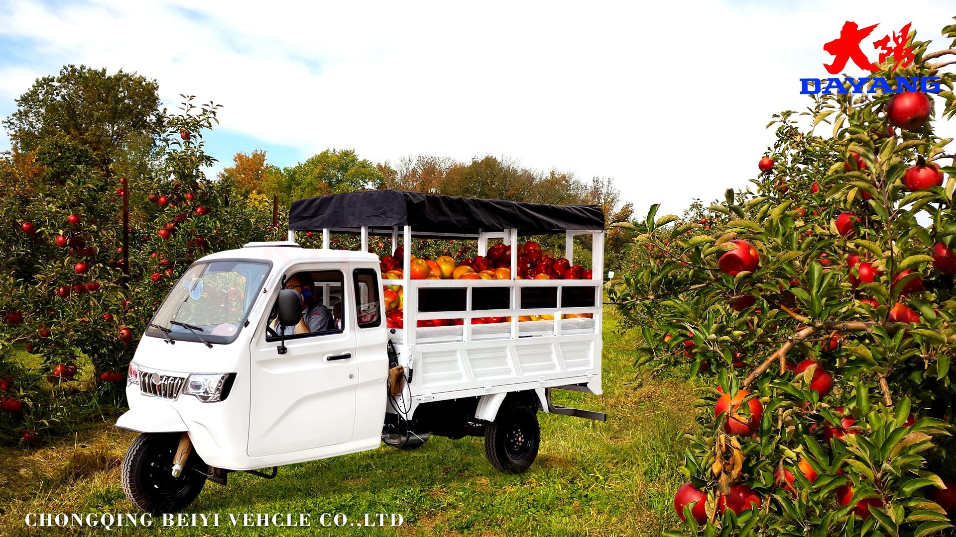 200cc Motorized Tricycles for Cargo Transportation Payload Capacity ≥400kg