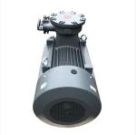 Factory AC Three Phase Induction Asynchronous Electric Motorcycle