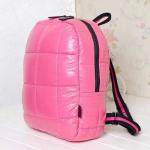 daypack with Nylon taffeta, down jacket fabric