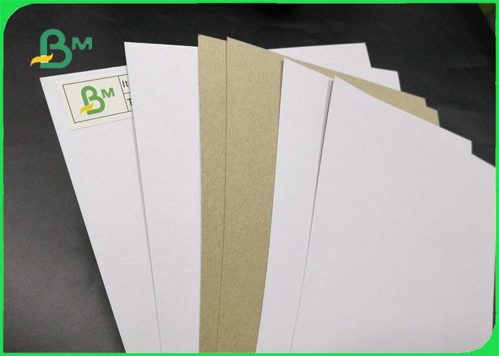 FSC Certified One Side Duplex Clay Coated Paper Folding Strength 250gsm 300gsm