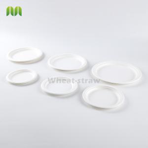 Wholesale Bagasse sugarcane paper plate dishes disposables from china suppliers
