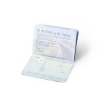 PU Leather Cover Passport Booklet Printing With Logo Gold Foiled 90mmxH125mm