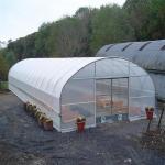 Hydroponic Growing System Single-Span Tunnel Plastic Film Greenhouse Agricultura