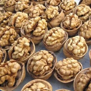 Wholesale Original Taste and Walnut Kernel for OEM Customization from china suppliers