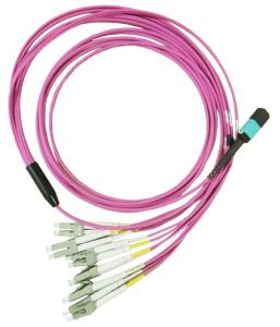 Wholesale Fan Out Cable 8-24core MTP MPO Patch Cord MTP-LC/SC-12 LSZH from china suppliers