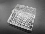 Transparent TCT Tissue Culture Treatment 48 Well Cell Culture Plate Standard