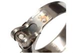 Agricultural Sector Zinc Plated SS310 T Bolt Hose Clamp