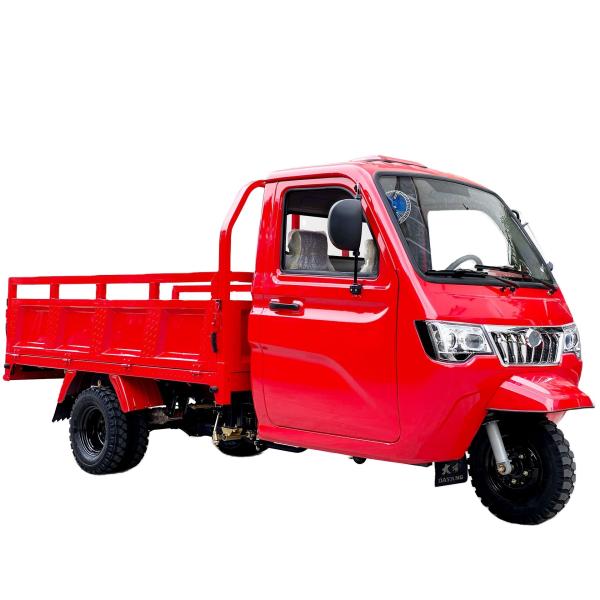 DAYANG 2021 Popular Three Wheel Motorcycle Cargo Tricycle 250cc 3 Wheel Gas