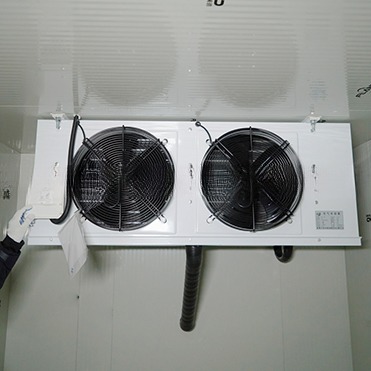 20ft Reefer Container Cold Storage Room with Aluminum T-Bar Floor and R134a/R404A Refrigerant