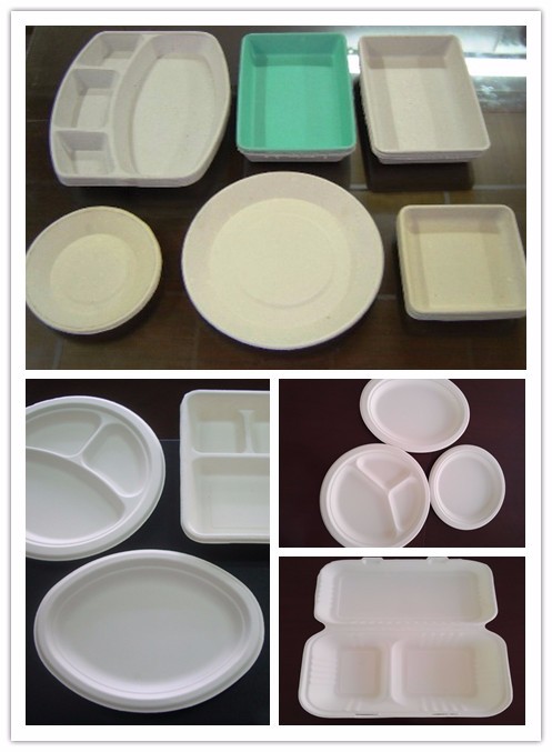Disposable Thermo Molding Machine , Biodegradable Lunch Box Making Machine 120kw