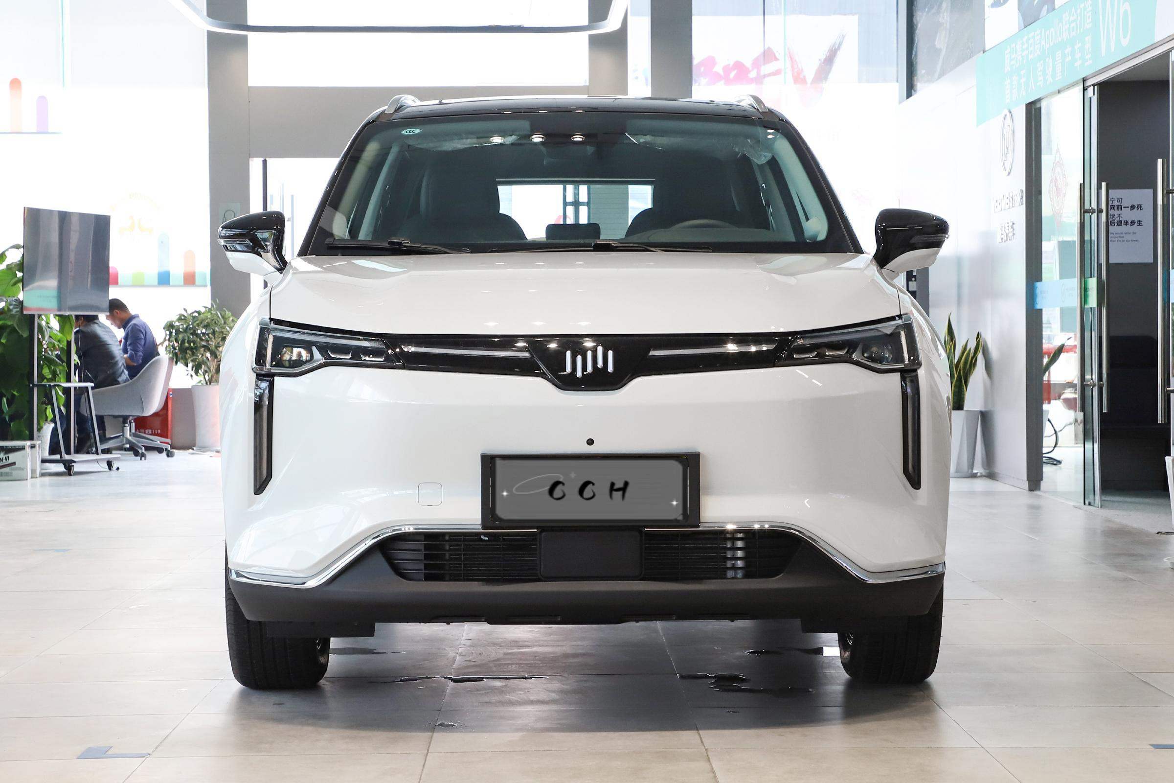 Single Speed Transmission Full Electric SUVs Weima W6 Medium SUV