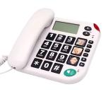 Senior Big button phone