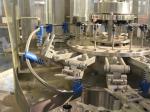 Automatic Fresh Natural Water Filling Machine / Bottled Water Production Line