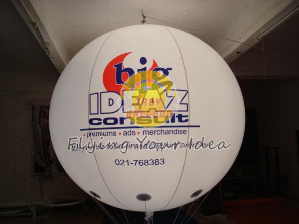 Inflatable Advertising Lighting Balloons with UV protected printing,Inflate