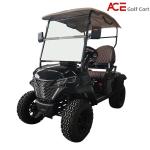 Electric EV Golf Cart 2 Seater 30km/H Max Speed Rear Drum Brake 8h Charging Time