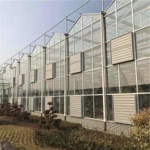 Wholesale Tomato Cucumber Lettuce Greenhouse System Venlo Agriculture With Cooling Fan Pad from china suppliers