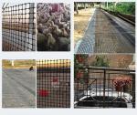 CE/ISO9001 Certified PP50-50KN Plastic Biaxial Geogrid for Vietnam Civil