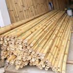 3 Inch Moso Bamboo Pole Pure Natural Bamboo Stakes For Plant Decoration Yellow