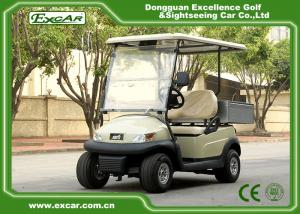 China 2 Passenger Electric Utility Carts / Cargo Golf Buggy Car With 350A USA Curties Controller on sale