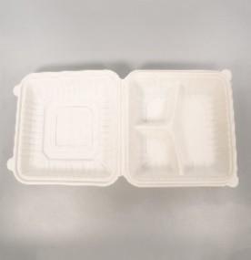Wholesale 54oz 1600ml Eco Friendly Disposable Tableware 9.0&quot;X9.2&quot;X3.5&quot; from china suppliers