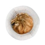 2021 Wholesale Cuddle Cup Shape Cat and Dog Bed Pets Bed with High Walls for