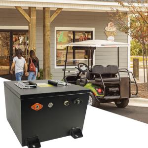 Wholesale 48V Golf Cart LiFePO4 Lithium Ion Battery 100Ah Fast Charging With Intelligent BMS from china suppliers