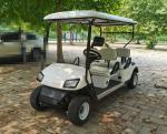CE approved electric golf trolley 3500W motor 4 seats adutl electric golf cart