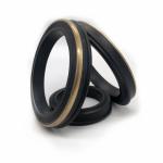Oil And Gas Industry 1"-7" Oil Resistant Hammer Union Seals With Brass Back Up