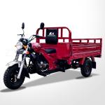DAYANG Prince 150CC/175CC/200CC Cargo Tricycle for Africa and Southeast Asia