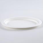 Wholesale a biodegradable sugarcane birthday cake plate western plate food