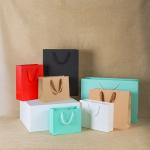 Luxury Fashion Low Cost High Quality Packaging Bag Laminated Eco Friendly