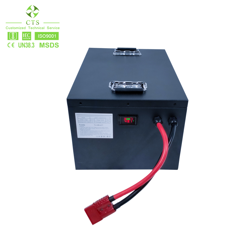 48V 100Ah LiFePO4 battery pack for golf car