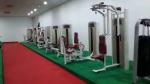 Commercial Gym Equipment Adjustable Back Extension Machine Pin-Loaded Abdominal