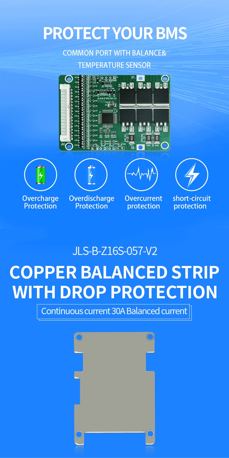 13S 48V Battery Management System BMS: For Lithium Iron Phosphate / NCM