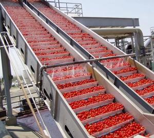 Wholesale SUS 304 / 316 Tomato Ketchup Sauce Production Line Machinery Mechanized Production from china suppliers