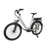 DOMANCA 750w Lady Electric Bike Sensor Smart Type and 18 Speed Gears for City