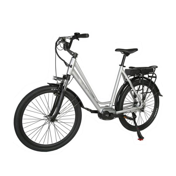 Customized City Ebike for Women Max Speed 30-50Km/h 750w Lady Electric Bike 48V