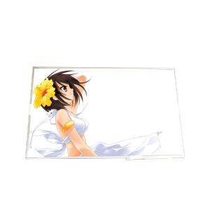 Wholesale High Quality B170PW03 V2 17.3 inch TFT LCD Screen from china suppliers