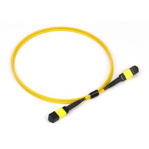 Buy cheap 12 Cores MPO Fiber Optic Patch Cable With ROHS CE REACH CPR Compliant from wholesalers