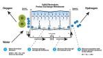PEM Technology Hydrogen Water Electrolysis Electrolyzer for Clean Energy