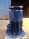 NEMA Vertical Hollow Shaft Motor IP54 380V 660V 3 Phase 50HZ 1450rpm 75kw VHS