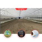 Galvanized Steel Frame Mushroom Growing Shade Net Greenhouse for Agricultural