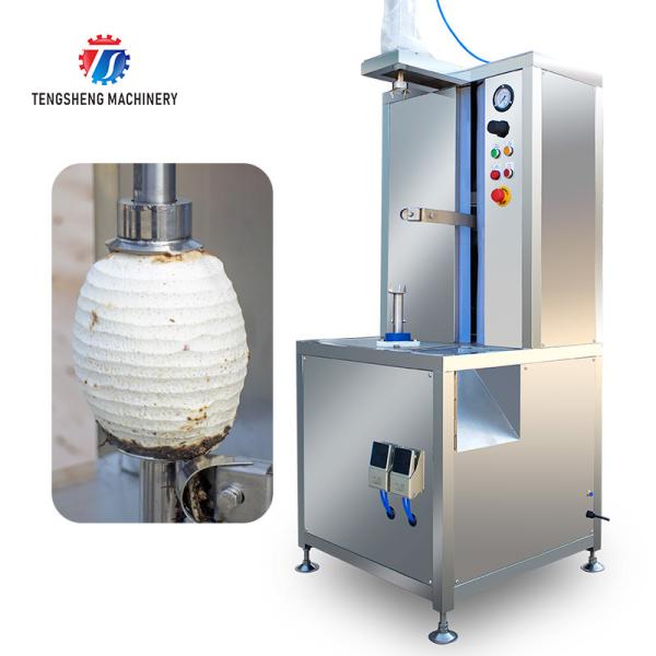 1.0KW 120KG Automatic electric peeler Pineapple pumpkin watermelon cantaloupe