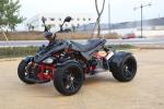 4 Gear Shift Riverbed 250cc Youth Atv 4 Wheelers