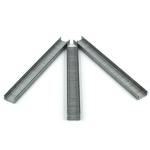 Steel Durable 21gauge Fine Crown Air Staple Pneumatic Staple 8006 for Furniture