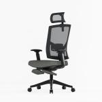 Ergonomic Mesh Office Chair with Adjustable Backrest and BIFMA Standard