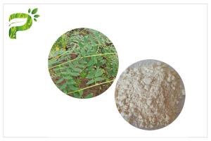 Wholesale CAS 84687 43 4 Astragalus Membranaceus Extract Astragaloside IV 98% Anti Aging from china suppliers